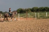 Arbeit mit Pferd Arbeit mit Pferd